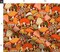Orange Psychedelic Hippie Groovy 70S Seventies 60S Sixties mushrooms Toadstools Custom Printed Fabric by Spoonflower Various Fabrics by the Yard or Fat Quarter